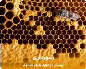 زنبورستان عطاری زنبورچه