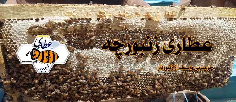 قاب-عسل